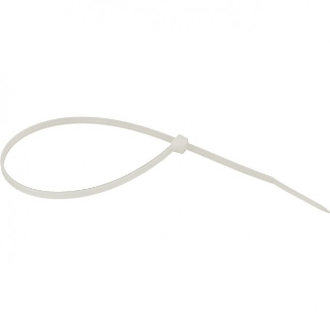 Хомут нейлоновый EKF BASIC (2,5х200) 100шт. plc-c-2.5x200 Хомут нейлоновый EKF BASIC (2,5х200) 100шт. plc-c-2.5x200