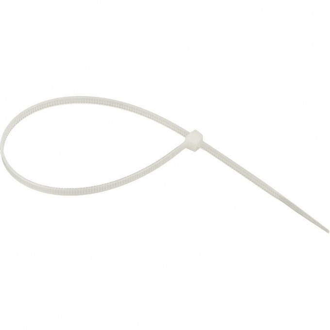Хомут нейлоновый EKF BASIC (3,6х250) 100шт. plc-c-3.6x250 Хомут нейлоновый EKF BASIC (3,6х250) 100шт. plc-c-3.6x250